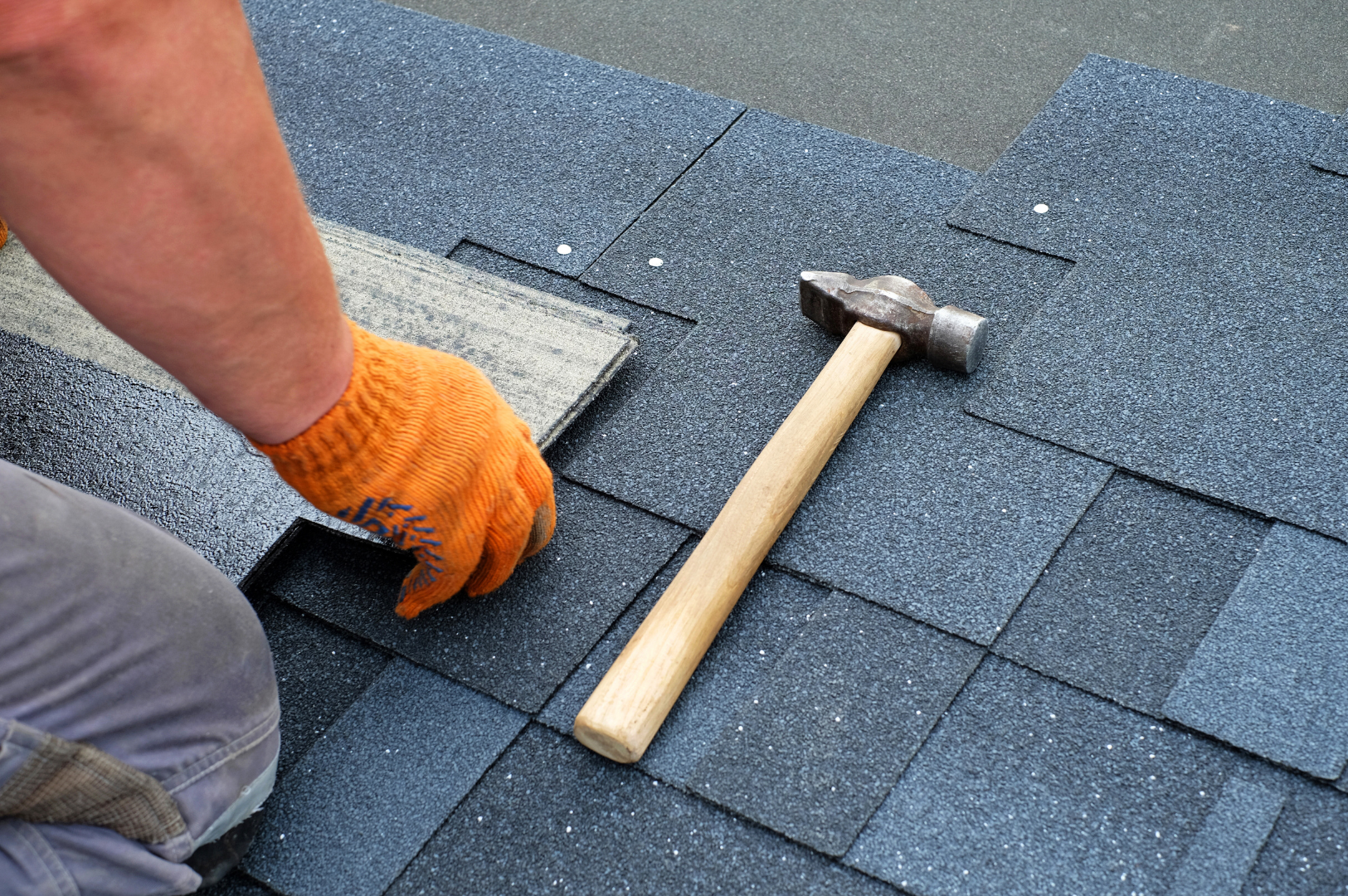 roof inspecting