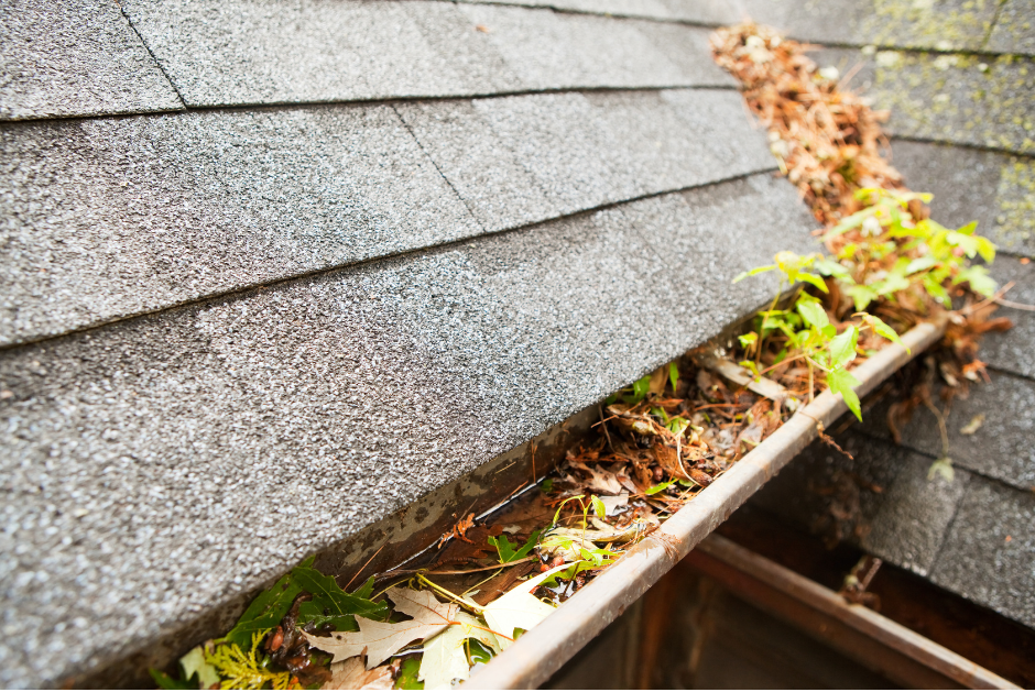 Ways Clogged Gutters Can Damage Your Home